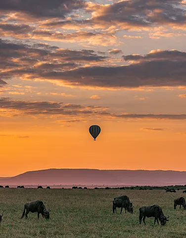 Africa The Best Destinations